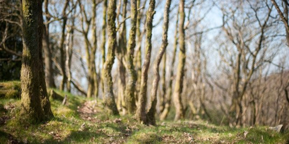 Human Growth Hormone (HGH) – Das Handbuch für Muskelaufbau, Fettverbrennung und schnelle Regeneration